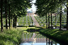 公園無憂,槍殺無憂,歷史