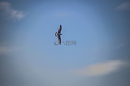 天空,云,飛行