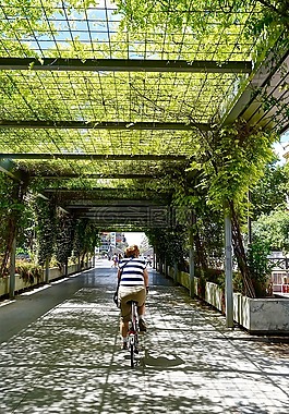 自行車騎手,透視,覆蓋