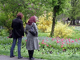 公園,herastrau,自然