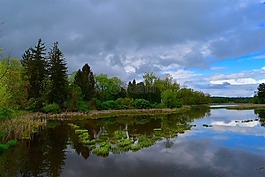 湖,樹,天空