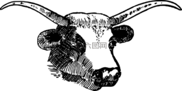 動(dòng)物,牛,公牛