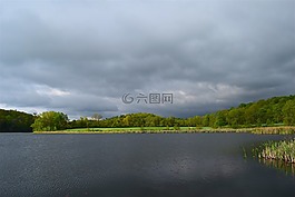 湖,草,樹(shù)