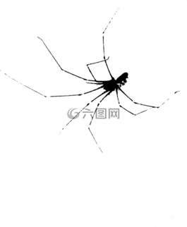 萬圣節(jié),度假,昆蟲