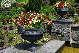 花園,性質(zhì),鮮花