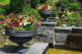 花園,性質(zhì),鮮花