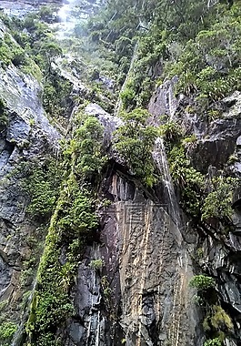 岩墙,岩石,自然