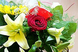鮮花,明確,花束