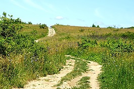 路徑,草甸,方式
