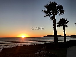 棕櫚樹(shù),日落,海洋