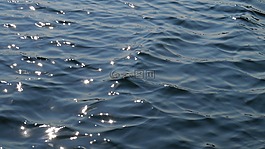 湖,水,夏天