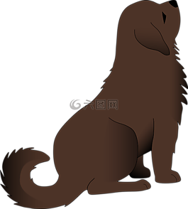 動物,狗,寵物