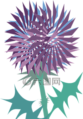 薊,開花,植物