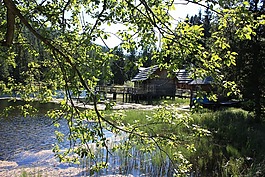 高山湖,性質(zhì),奧地利