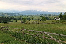 山,草甸,波蘭