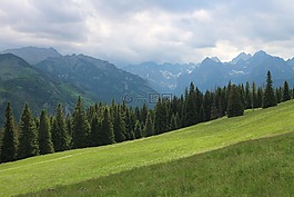 波蘭,rusinowa日志,山