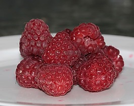 山莓,茅idaeus,漿果