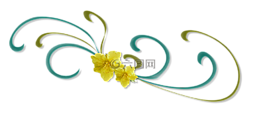 卷毛,觀賞,花卉