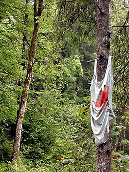 泳裝,森林,神器