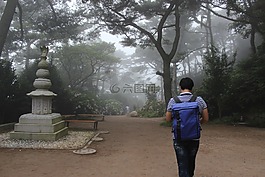 寺,黎明,旅行