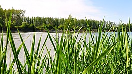 河,性質,夏季