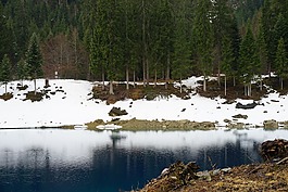 湖,雪,景觀