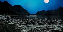 月亮,景观,夜