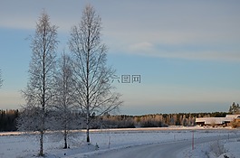冬天,雪,性质