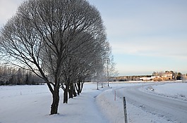 冬天,雪,弗羅斯特