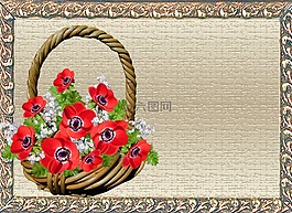 賀卡,銀蓮花,籃