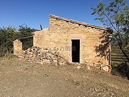 葡萄園,西班牙,山寨