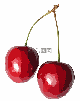 櫻桃,食品,水果