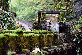 水,性質(zhì),級聯(lián)