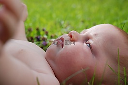 嬰兒,草坪,兒童