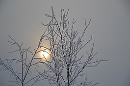 阴天,太阳,日出