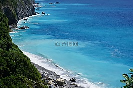 海洋,藍(lán)色,樹