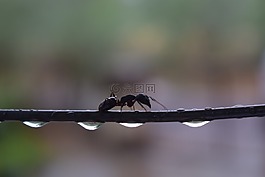 水,滴,一滴水