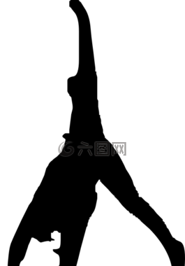 翻轉,體操,演習