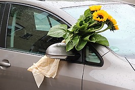 鮮花,汽車,向日葵