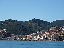 海,岛百合,夏季