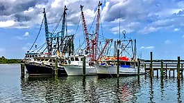 船,釣魚,佛羅里達
