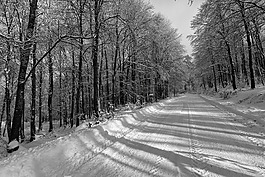 雪,路,的vitsi