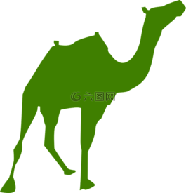 駱駝,側(cè)影,沙特阿拉伯