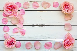 花,玫瑰,花瓣