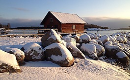 房子,冬天,北 uppland