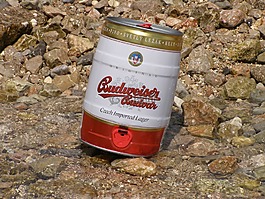 啤酒,budvar,酒精
