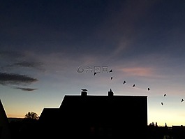傍晚的天空,院,鳥類