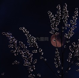 夜,側(cè)影,照明