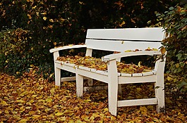公園長椅,秋季,葉秋