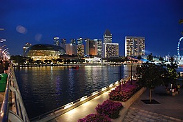 新加坡,結(jié)構(gòu),現(xiàn)代